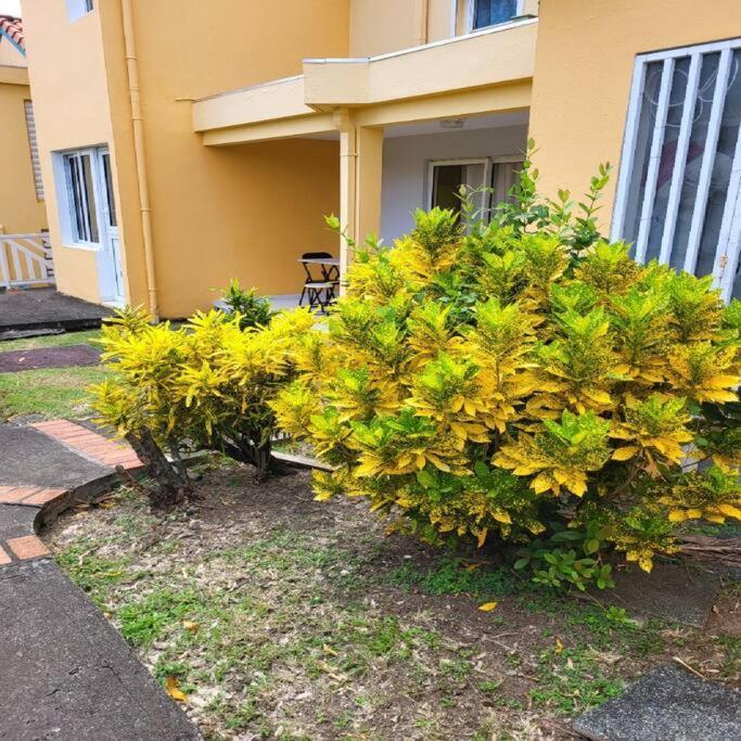 Appartement A Saint-Anne - Residence Beauregard Sainte-Anne Exterior foto